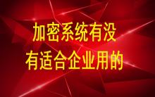 加密系統有沒有適合企業用的？